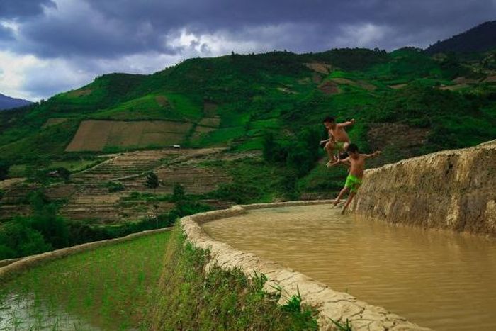 Trở thành chỗ vui chơi của bọn trẻ 