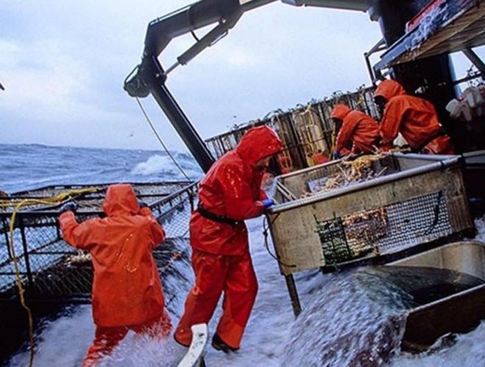  Ngư dân: Các ngư dân phải làm việc nhiều giờ mỗi ngày, nhiều khi là trong bóng tối và không có thời gian nghỉ. Mặc dù ngày nay công nghệ GPS hỗ trợ nhiều cho các tàu cá nhưng trong điều kiện thời tiết xấu, tai nạn chết người vẫn xảy ra 