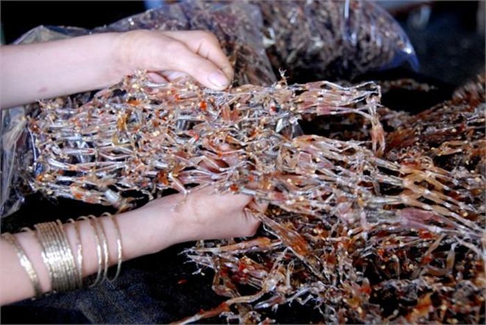 Khô nhái sau khi đã phơi đủ nắng (ảnh: Dân Việt).