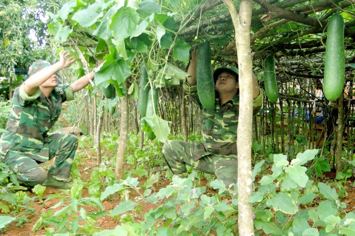 Mô hình “giàn cơ bản" của Đồn Biên phòng Thuận An.