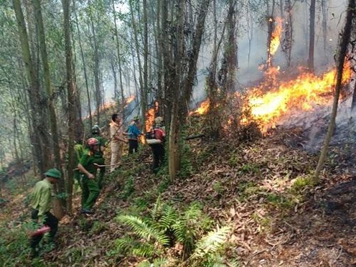 Lực lượng Công an Hà Tĩnh phối hợp với các đơn vị chức năng và người dân nỗ lực dập lửa cứu rừng. 