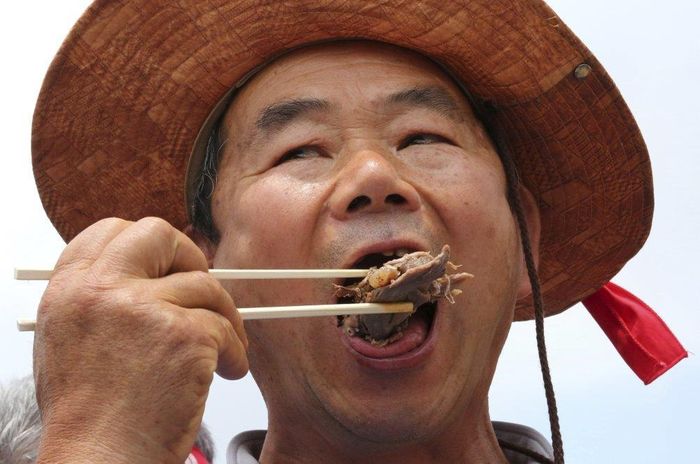Ngay cạnh bên cuộc biểu tình phản đối ngành công nghiệp thịt chó trước cửa Quốc hội Hàn Quốc, một nhóm khoảng 20 thành viên của Hiệp hội Thịt chó Hàn Quốc lại mở tiệc khiêu khích. Truyền thông Hàn Quốc cho biết hai cuộc biểu tình đều diễn ra bình thường và không có xô xát. Ảnh: AP.