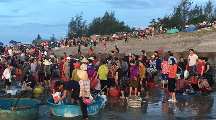 Chợ Gò (như dân địa phương thường gọi) không lớn nhưng đầy đủ không khí của chợ: náo nhiệt, ồn ào. Dọc triền đê, hàng trăm người mua đi bán lại những sản vật của biển và bán cho du khách. Rồi những xe đủ loại lại hối hả vận chuyển hải sản từ chợ tỏa đi tiêu thụ. Họ hầu như không mặc cả. Những cuộc mua bán diễn ra chóng vánh.