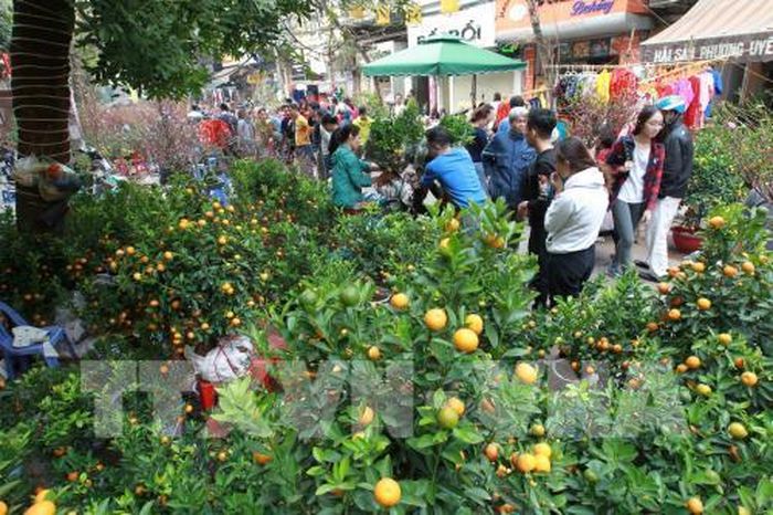 Với cộng đồng quốc tế, Thủ đô Hà Nội là hình ảnh về một thành phố luôn phát triển năng động nhưng vẫn giữ những nét truyền thống. Trong ảnh: Đi chợ hoa ngày Tết, nét đẹp văn hóa truyền thống của người Hà Nội mỗi khi Tết đến, xuân về. Ảnh: Hải Anh - TTXVN