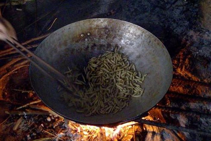 Sâu được chế biến thành nhiều món hoặc để ngâm rượu