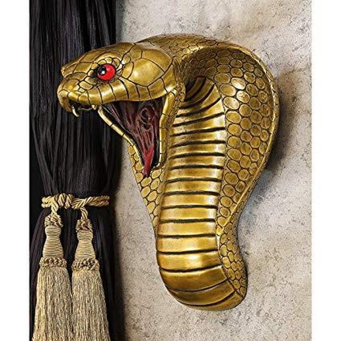 Hổ mang Ai Cập chắc chắn là một động vật ưa nhiệt, bởi vì chúng được tìm thấy chủ yếu ở các vùng nóng, khô cằn của Bắc Phi. Mặc dù chúng là là một loài sống trên cạn nhưng chúng thích được ở gần nguồn nước. Chúng cũng có thể bơi và leo lên cây. Ngược lại, khu vực sinh sản thường là các khu vực bỏ hoang, hốc, khe đá hoặc trong các tổ mối bỏ hoang.