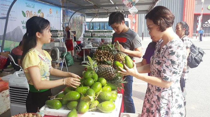 Người tiêu dùng Hà Nội mua nông sản Sơn La tại Big C Thăng Long