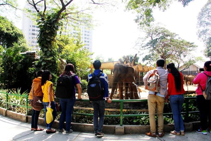 Khách tham quan Thảo cầm viên.
