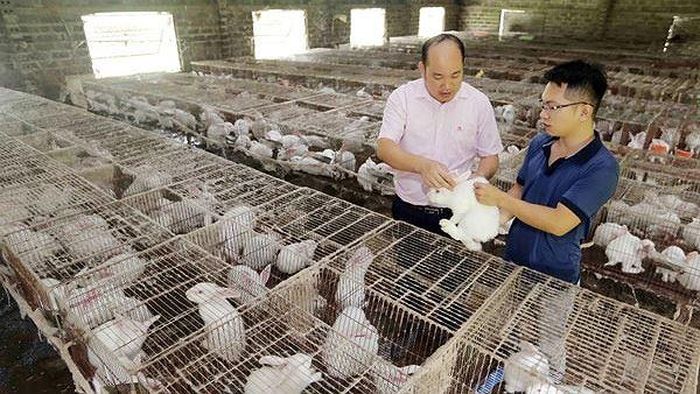 Hợp tác xã Dịch vụ thương mại TBINI “khởi nghiệp” từ vốn vay ưu đãi của anh Đặng Khánh Duy