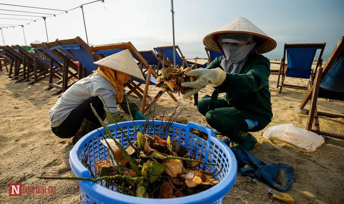 Đôi khi tâm lý "mua mâm phải đâm cho thủng", một khi đã trả chi phí thuê mặt bằng, phí vệ sinh thì thùng rác nằm bên cạnh…. chỉ để trang trí.