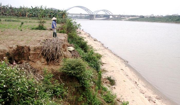  Khu vực ven bãi sông Đuống thuộc xã Đông Hội (huyện Đông Anh) bị sạt lở. Ảnh: Trọng Tùng