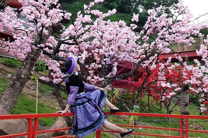  Đứng trên cầu kính tình yêu, du khách sẽ quan sát được cảnh quan hùng vĩ từ trên cao và thú vị là có thể tha hồ “sống ảo” 