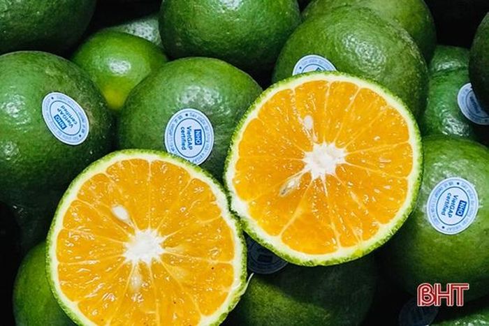Thường xuyên đăng tải sản phẩm có chất lượng cao, quy trình thu hái, đóng góp từ vườn đến tay người dùng là cách mà "mẹ bỉm" Quỳnh Trang tăng thêm độ tin cậy cho người mua hàng online.
