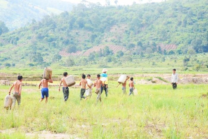 Sau 1 ngày lùa bò, các em lại tung tăng trên đồng cỏ đến lớp học bơi