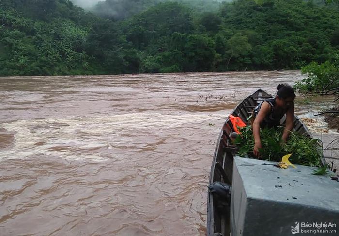 Ông Nguyễn Xuân Trường - Trưởng phòng Nông nghiệp và PTNT, Phó Ban chỉ đạo phòng, chống bão lũ huyện Kỳ Sơn cho biết: "Hiện nước lũ đã có dấu hiệu rút. Nhờ làm tốt công tác "4 tại chỗ" nên công tác sơ tán người và tài sản tiến hành nhanh, kịp thời, nên không có thiệt hại đáng kể về người và tài sản". Ảnh: Lữ Phú