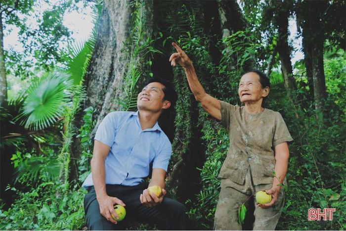 Theo bà Nhuận, mặc dù cây thị có tuổi đời trên 700 trăm tuổi nhưng hàng năm vẫn ra hoa kết trái đều đặn. Điều đặc biệt thị ở đây mang mùi thơm khác với thị ở những nơi khác. “Những ngày này, thị bắt đầu chín rộ, trẻ con và người lớn đến đây đông hơn”, bà Nhuận cho hay.