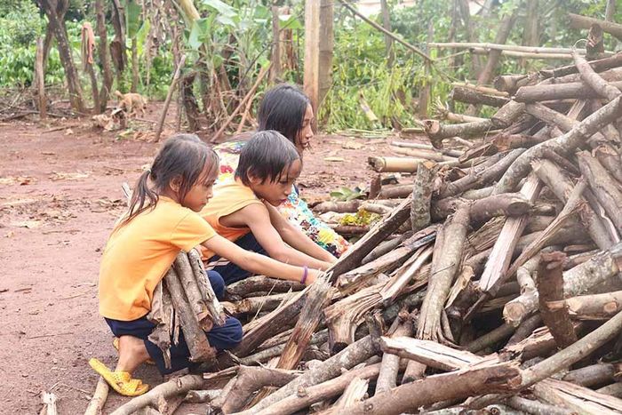 3 đứa trẻ mồ côi mẹ sống chung với bà ngoại. Ảnh: Ngọc Sang