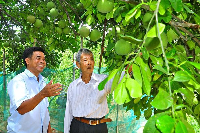  Niềm vui lớn nhất của ông Phước là thấy cuộc sống người dân no ấm 