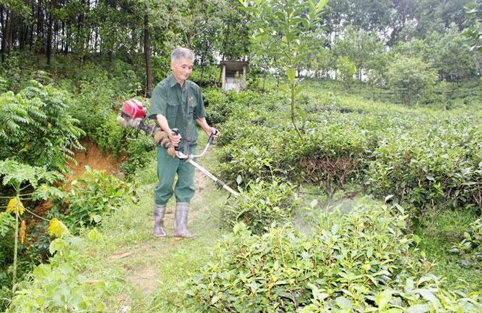 Nhận được sự chia sẻ, giúp đỡ của Hội NNCĐDC huyện, gia đình ông Bàng Văn Vượng đã vượt qua khó khăn, vươn lên trong cuộc sống.