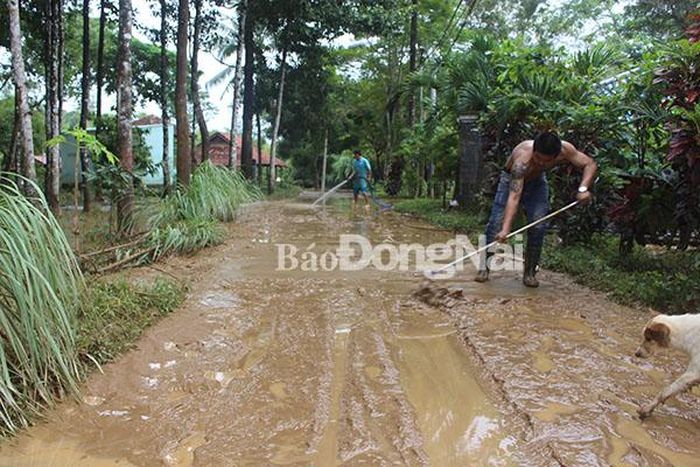 Người dân tại huyện Định Quán tích cực dọn dẹp nhà cửa, đường sá