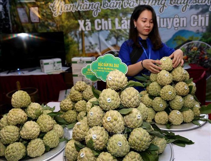 Gian hàng trưng bày sản phẩm của xã Chi Lăng. Ảnh: Vũ Sinh/TTXVN