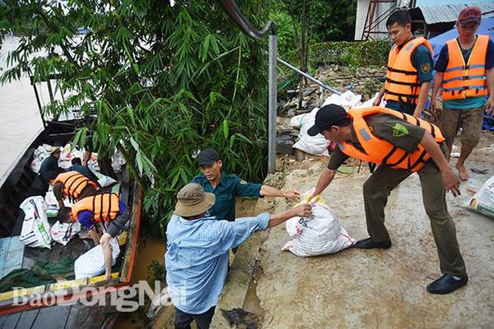 Lực lượng công an và bộ đội di chuyển lúa giúp cho người dân xã Ngọc Định (huyện Định Quán)