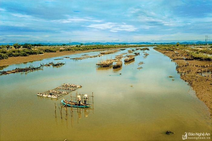 Sông Hàu qua đoạn làng Mơ được gọi tên sông Mơ nhưng lòng sông được người dân nuôi rất nhiều hàu.