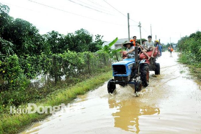 Máy kéo được người dân ấp 4, xã Núi Tượng sử dụng để đưa thóc lúa lên vùng cao. Ảnh: TIẾN KHANG