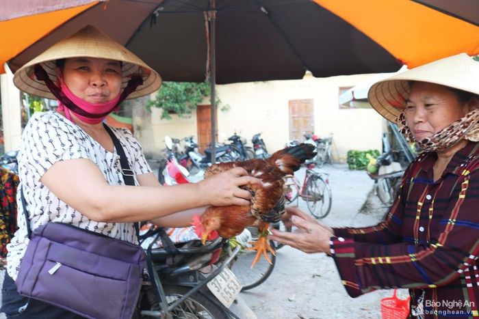 Thực phẩm cúng lễ ngày Rằm không thể thiếu món gà luộc. Các bà, các mẹ luôn cố tìm để mua được những con gà trống vườn đồi thịt săn chắc về làm cỗ.