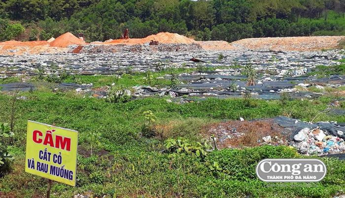 UBND tỉnh Quảng Nam đã yêu cầu khẩn trương giải quyết, khắc phục những tồn tại ở khu chứa và xử lý rác thải Tam Xuân 2.