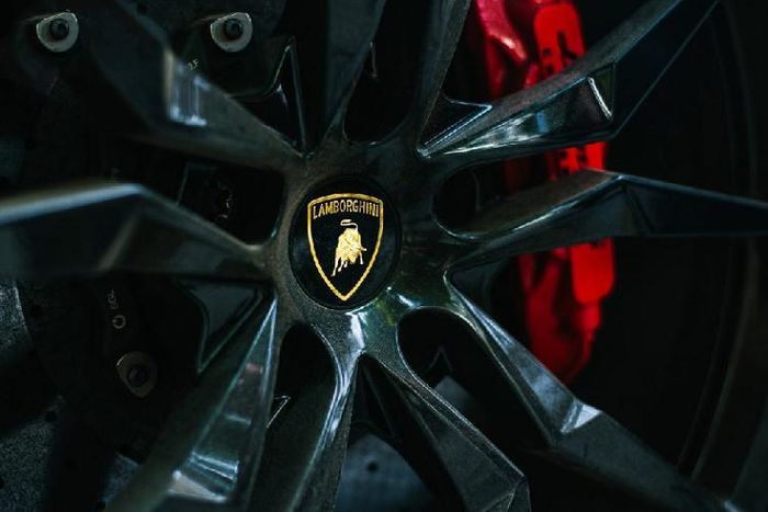 Tại Việt Nam, số lượng Aventador xuất hiện cũng khá nhiều. Đặc biệt hơn, Aventador là một trong những dòng siêu xe có nhiều biến thể nhất được ghi nhận tại Việt Nam. Ta có thể thấy những phiên bản như Aventador LP700-4 Coupe, LP700-4 Roadster, Aventador SV và cả Aventador S.