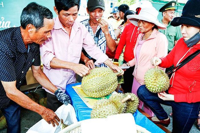 Sầu riêng liên tục “cháy hàng” tại Lễ hội trái cây ngon Khánh Sơn.