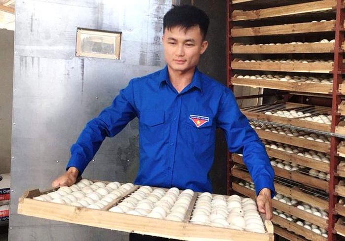 Anh Vũ Đức Anh kiểm tra trứng ấp trong lò.