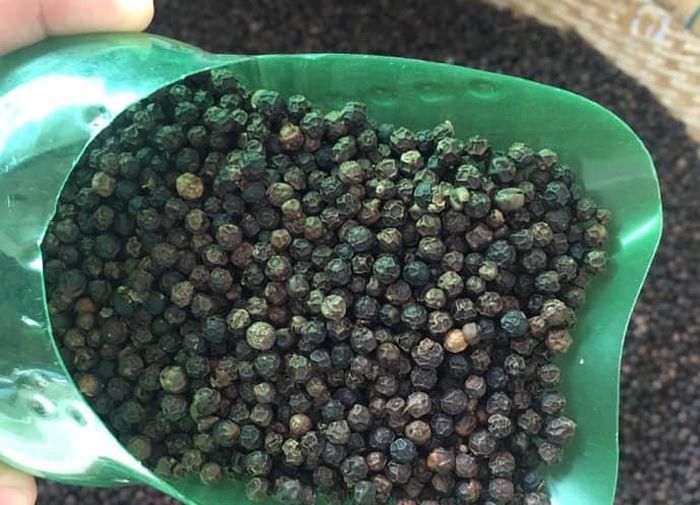 Cần nâng giảm tỷ lệ tiêu hạt vầ nâng tiêu bột để thu về giá trị cao hơn - Ảnh: VGP/ Đỗ Hương 