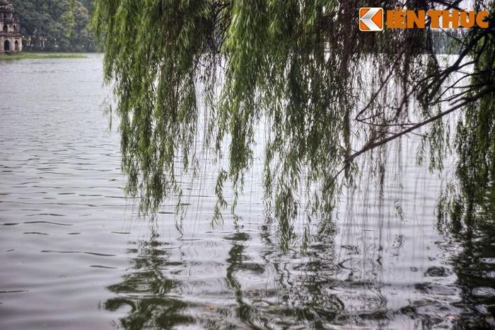 Hoặc những chiều thu đẹp như mơ, khi các cặp đôi hẹn hò trên ghế đá, cùng ngắm nhìn mặt hồ thơ mộng rợp bóng cây…