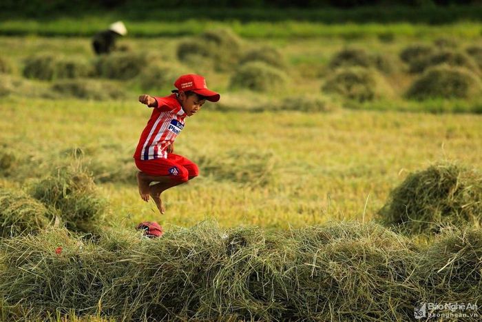 Lũ trẻ tranh thủ những ngày nghỉ cuối cùng trước khi vào năm học mới để theo cha mẹ ra đồng, nô đùa trên những đụn rơm khô còn thơm mùi lúa mới gặt. Ảnh: Hải Vương