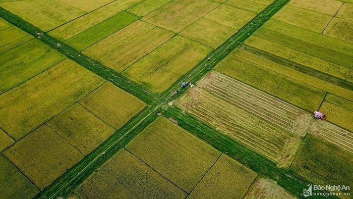 Khung cảnh nhìn từ trên cao đẹp như một bức tranh. Ảnh: Hải Vương