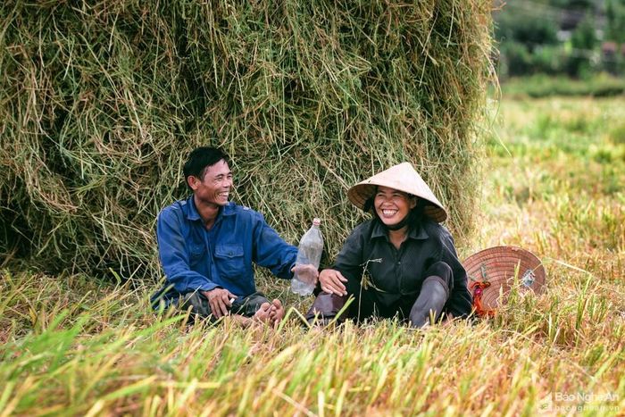 Phút nghỉ tay giữa muôn sắc vàng của rơm, của lúa. Ảnh: Lê Thắng