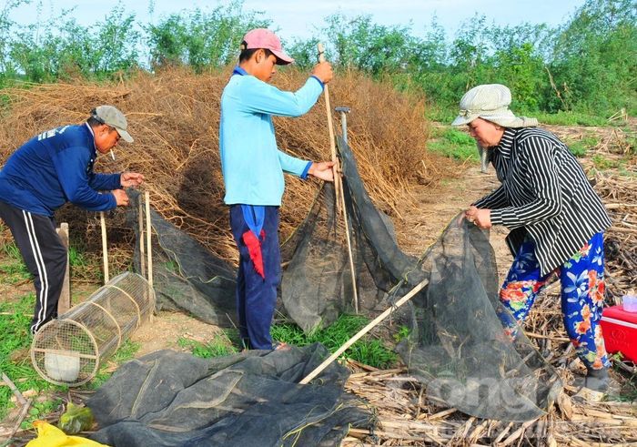 Lấy lưới bao đống chà.