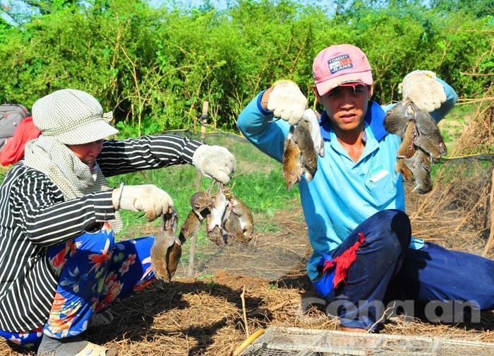 Niềm vui thu chiến lợi phẩm.