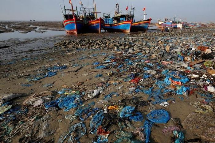 Đáng chú ý, nếu thương lái đột ngột ngừng thu mua vảy cá như đối với các mặt hàng khác trước đây, vấn đề ô nhiễm môi trường sẽ rất khó xử lý, theo một số chủ doanh nghiệp kinh doanh khô cá. Ảnh: Reuters. 