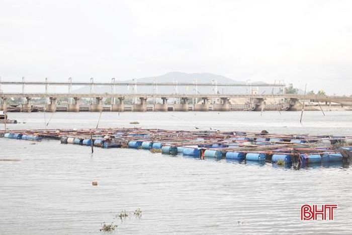8 tháng đầu năm 2019, xã Thạch Sơn đã xuất bán 70 tấn cá các loại, đạt doanh thu 11,9 tỷ đồng