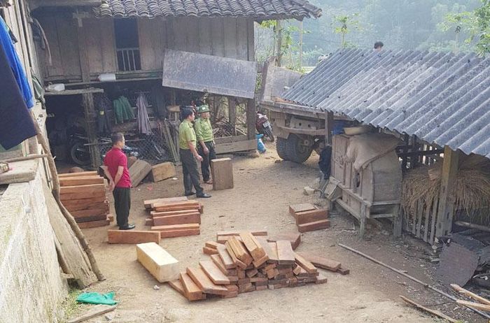 Cán bộ kiểm lâm phát hiện và kiểm tra vi phạm Luật Lâm nghiệp trên địa bàn xã Nghinh Tường (Võ Nhai).