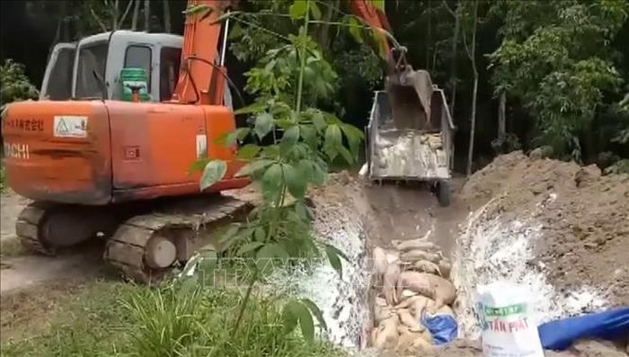 Lực lượng chức năng Đồng Nai tiến hành tiêu hủy lợn mắc bệnh tả châu Phi tại xã Đồi 61, huyện Trảng Bom. Ảnh: Sỹ Tuyên/TTXVN