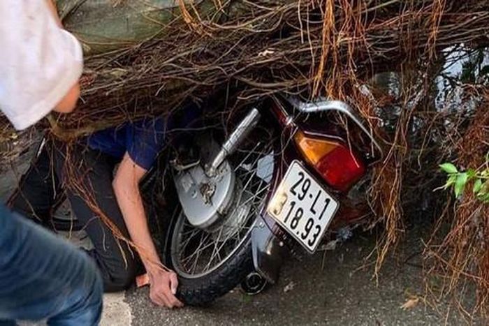 Người đi đường thiệt mạng do cây si đồ trúng