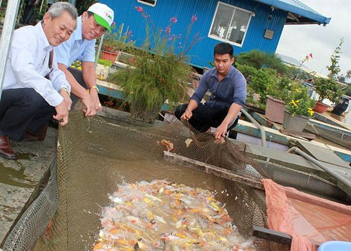 Đoàn giám sát khảo sát tại 1 hộ nuôi cá bè tại phường Hiệp Hòa.