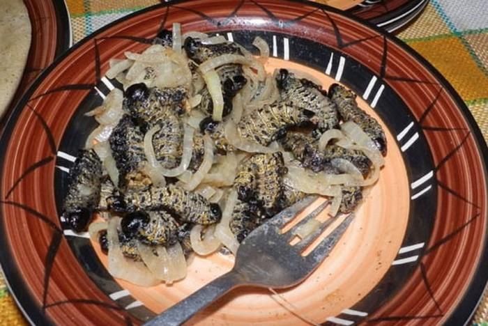 Các món ăn từ sâu Mopane.