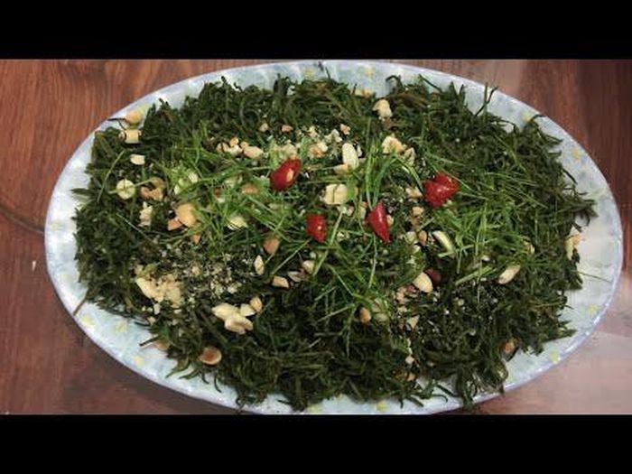 Rau nhót có vị mằn mặn, ăn sần sựt, rào rạo rất lạ miệng. Ảnh: ytimg.