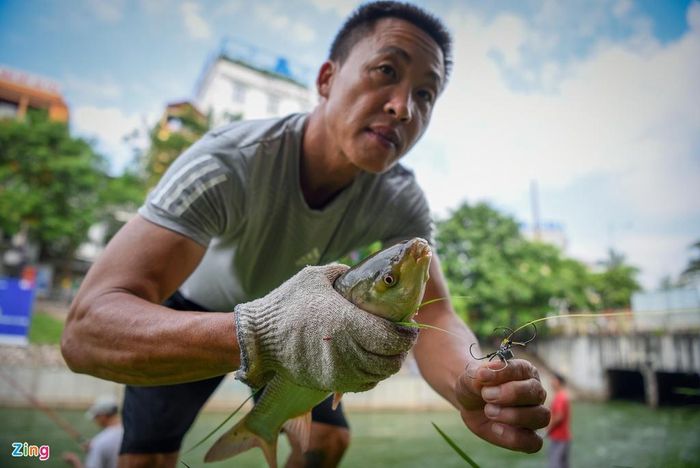 Những con cá có trọng lượng khá lớn, trung bình 0,8 đến 1 kg. 