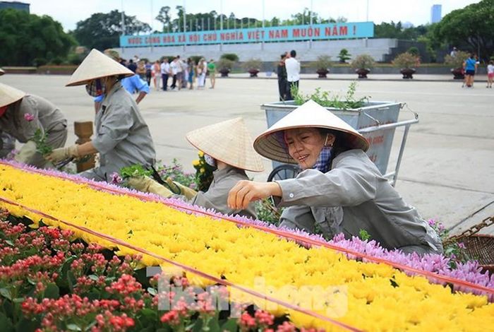 Chị Nguyễn Tâm, đội trưởng Đội trồng hoa cây cảnh Ban Quản lý Quảng trường Ba Đình chia sẻ về nghề: "Hàng ngày 46 công nhân thay nhau cắt tỉa,chăm sóc cây bon sai,hoa... quanh khu vực lăng Bác và quảng trường Ba Đình bất kể ngày nắng,mưa.